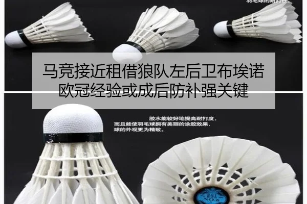 img_1788702981044_346_0_948.jpg(BANDAO)